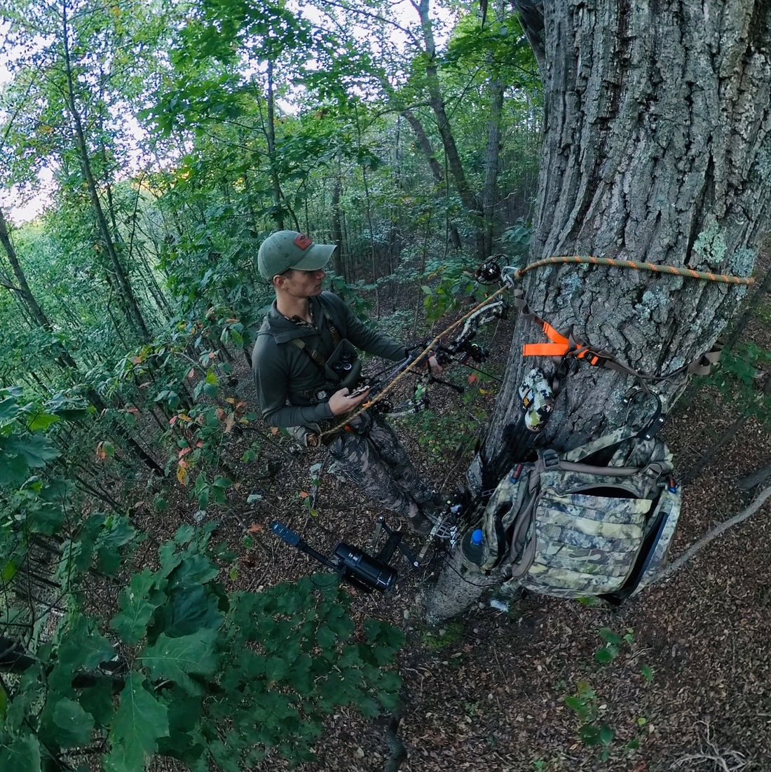 Mastering the Treetops: Saddle Hunting 101 Guide for Beginners