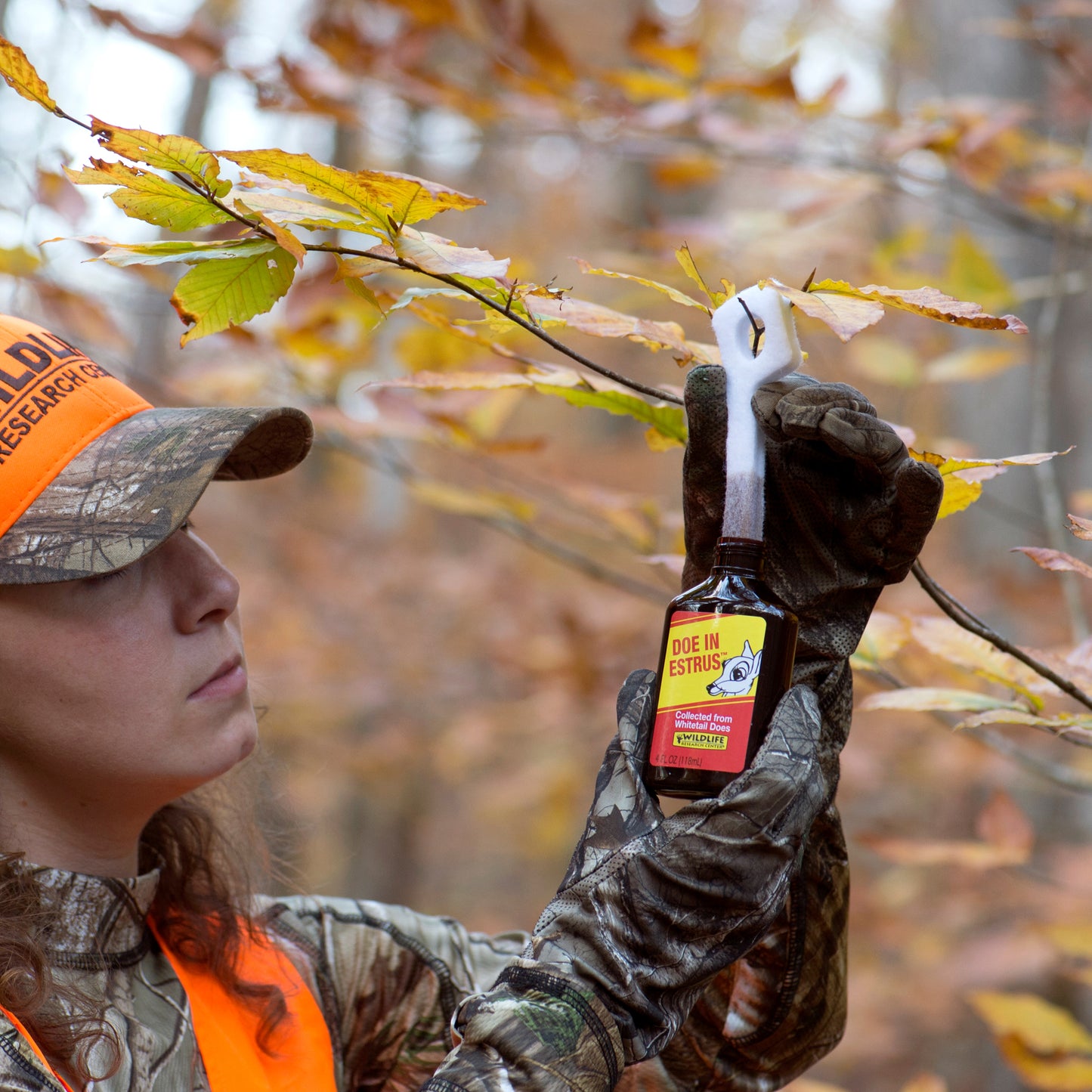Wildlife Research Center Doe In Estrus 1.oz