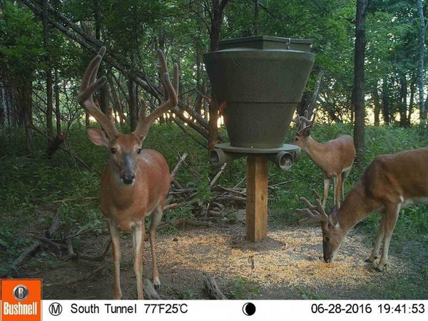 Banks Feedbank 600 Deer Feeder