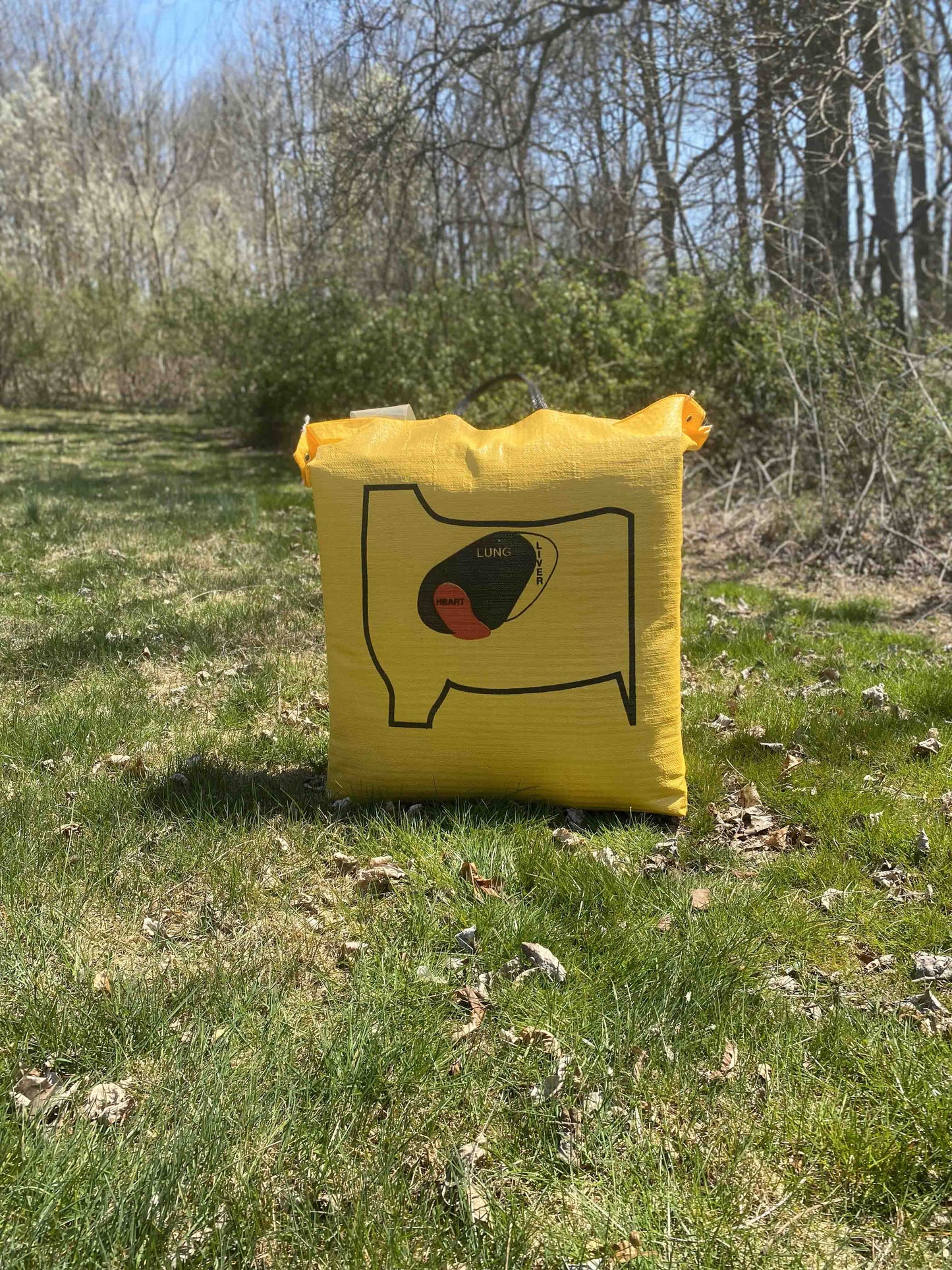 BigShot Ballistic 350 Archery Bag Target