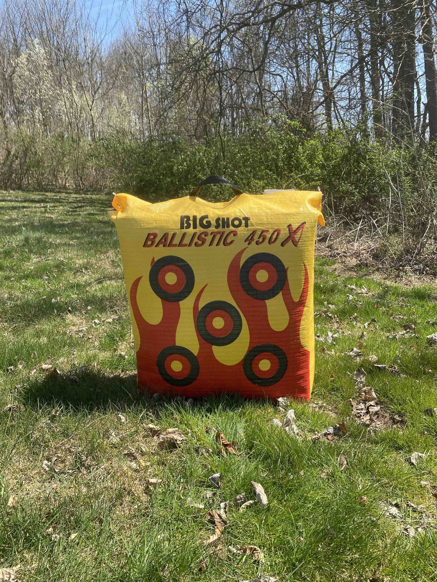 BigShot Ballistic 450X Bag Target