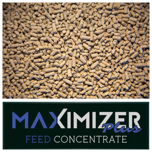 Real World Maximizer Plus Feed Concentrate