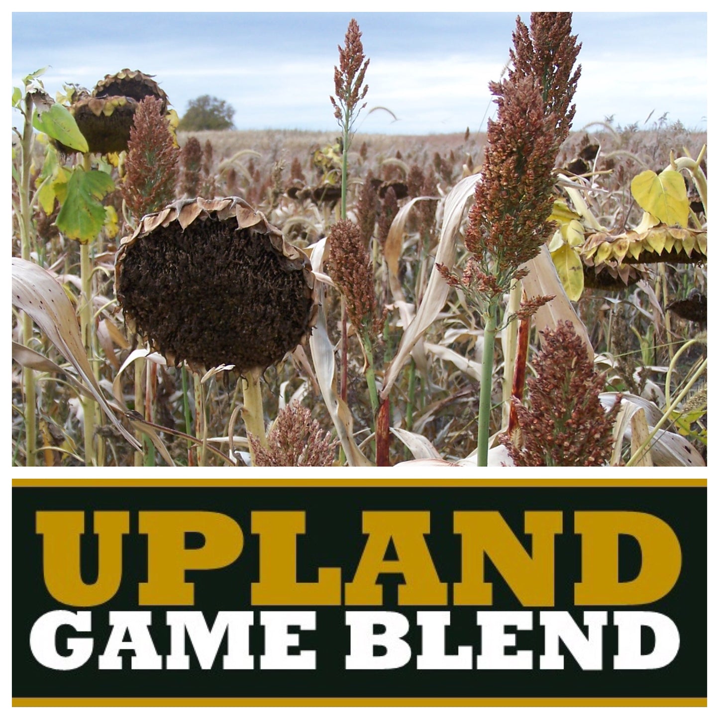 Real World Upland Game Blend 25lb 1 Acre