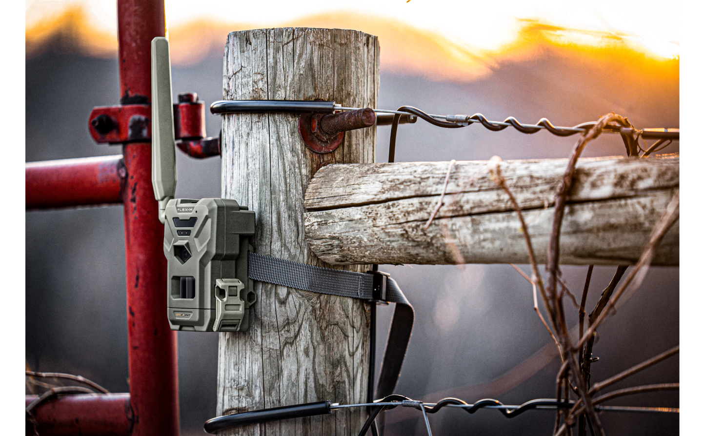 Spypoint Flex M Twin Pack Cell Trail Camera (2 Cameras)