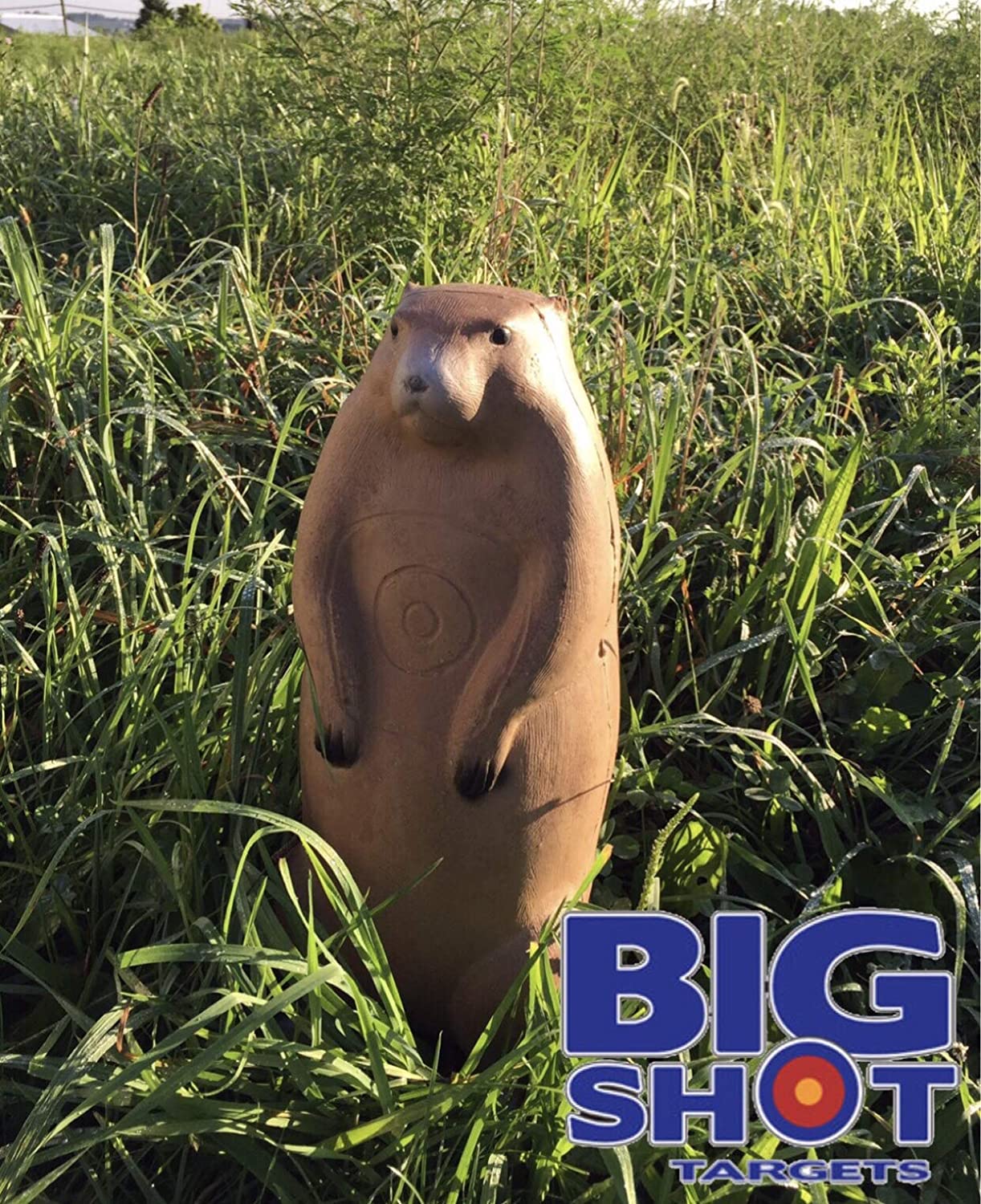 BigShot Pro Hunter Raccoon And Groundhog Combo Pack Archery Targets