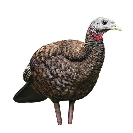 Avian X LCD Breeder Hen Turkey Decoy