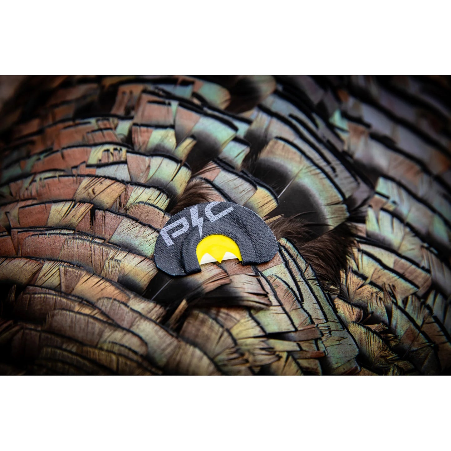 Power Calls Short Circuit Combo Pack Turkey Calls