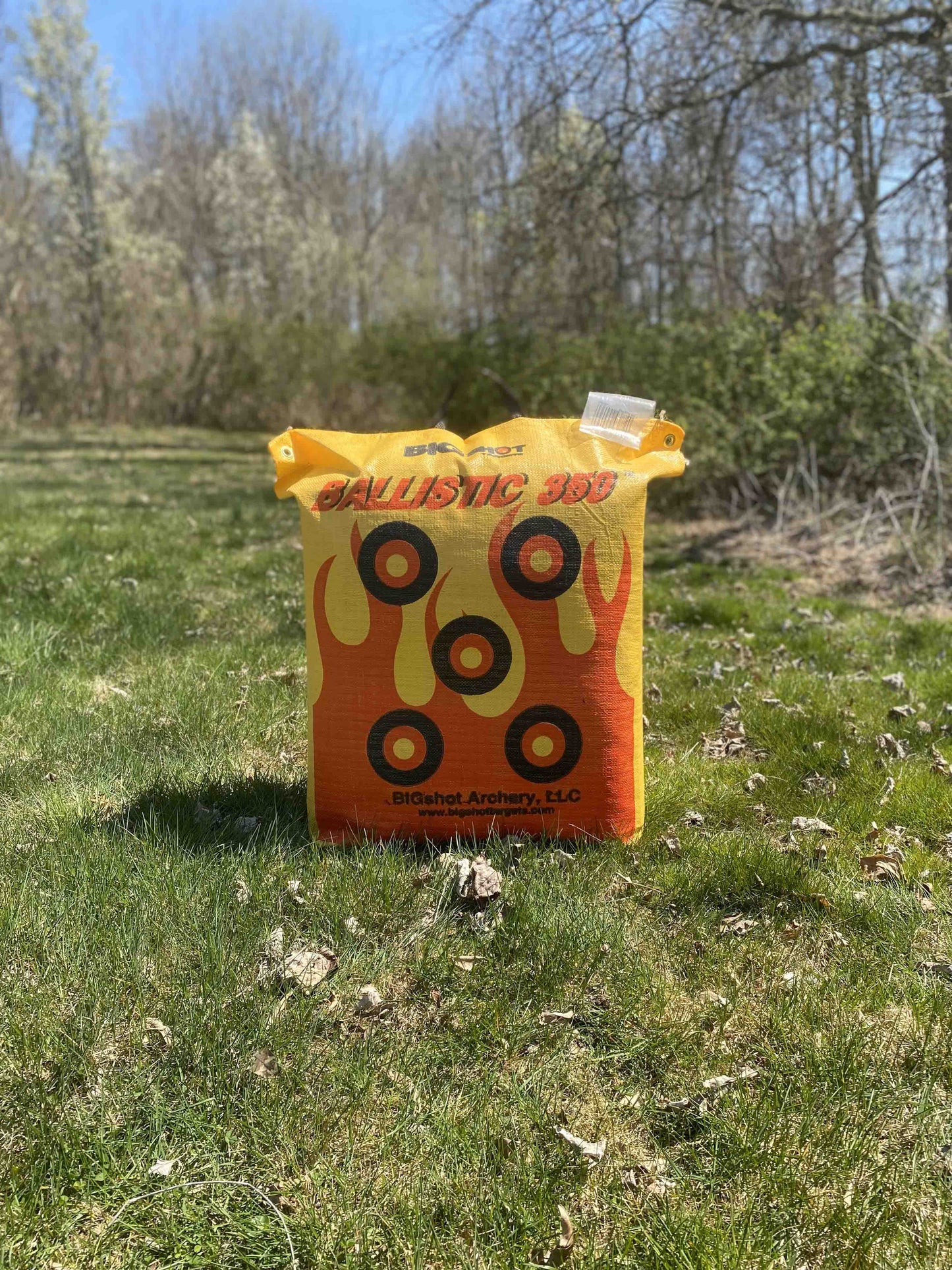 BigShot Ballistic 350 Archery Bag Target
