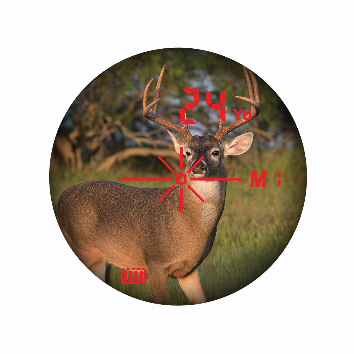 TenPoint Align 1000LR Rangefinder