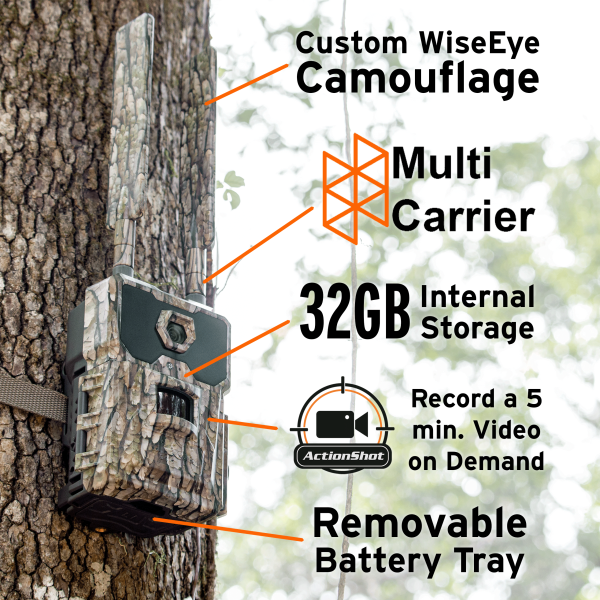 WiseEye DC-2 (No Glow) Cellular Trail Camera