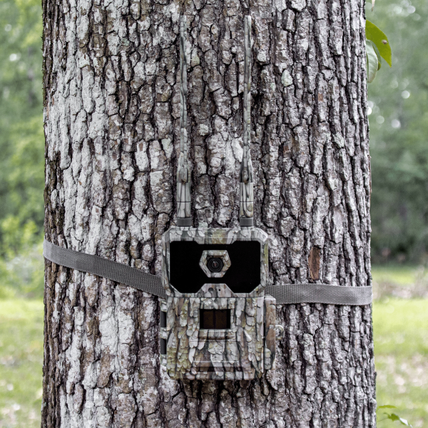 WiseEye DC-2 (No Glow) Cellular Trail Camera