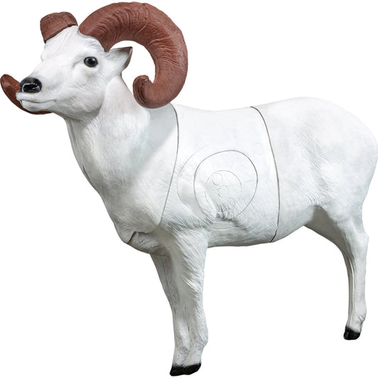 Real Wild 3D Dall Sheep