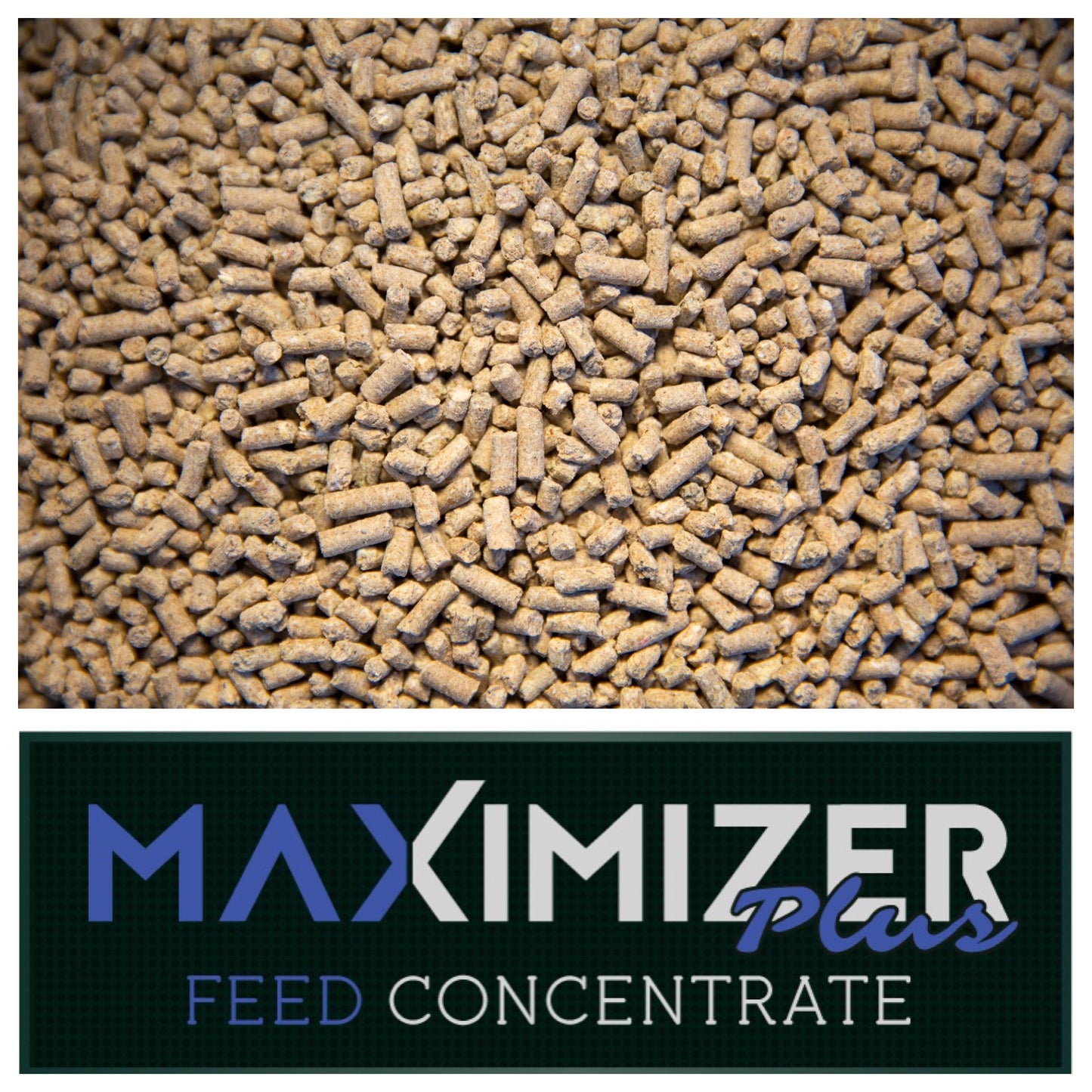 Real World Maximizer Plus Feed Concentrate