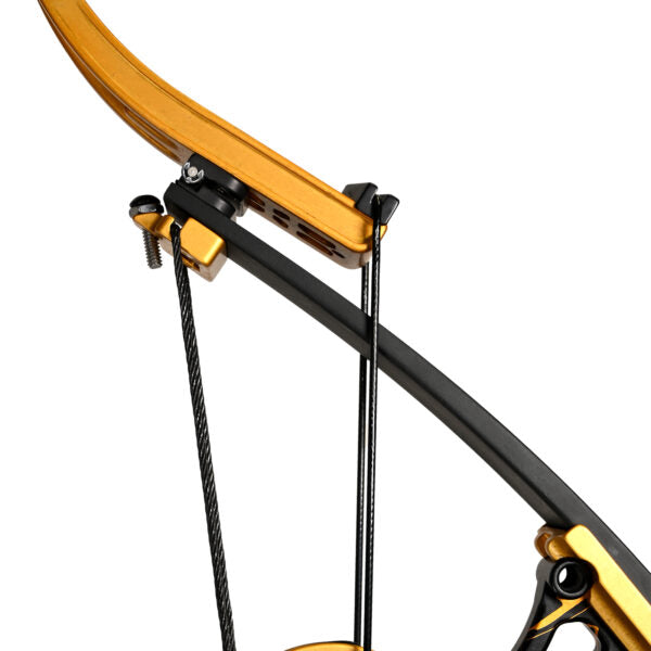 Mega Mouth Mega Rex Bowfishing Bow
