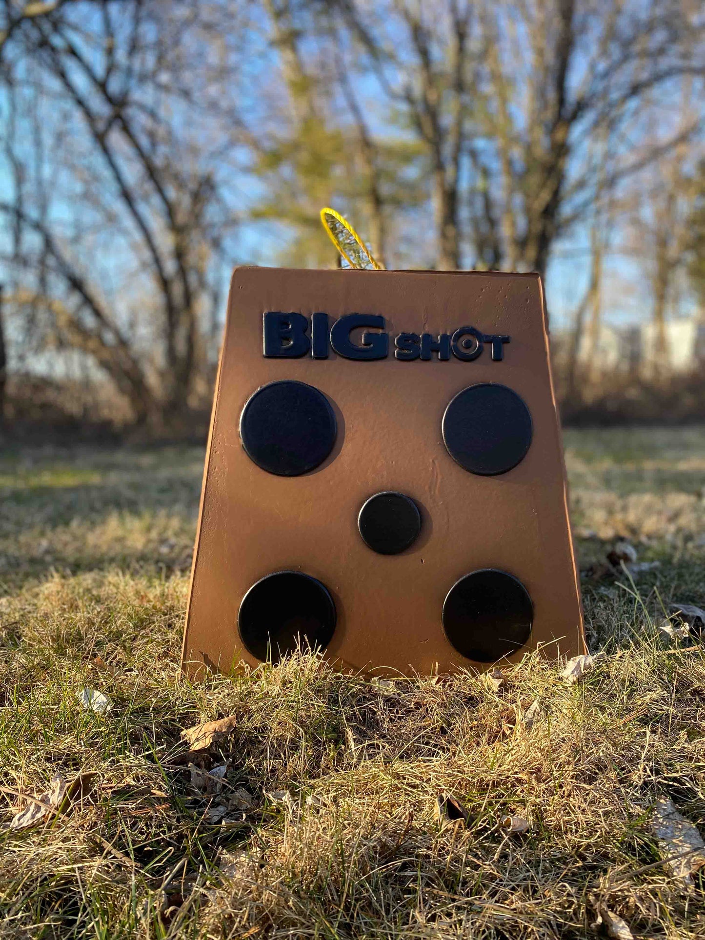 BigShot Pro Hunter 16 Archery Target
