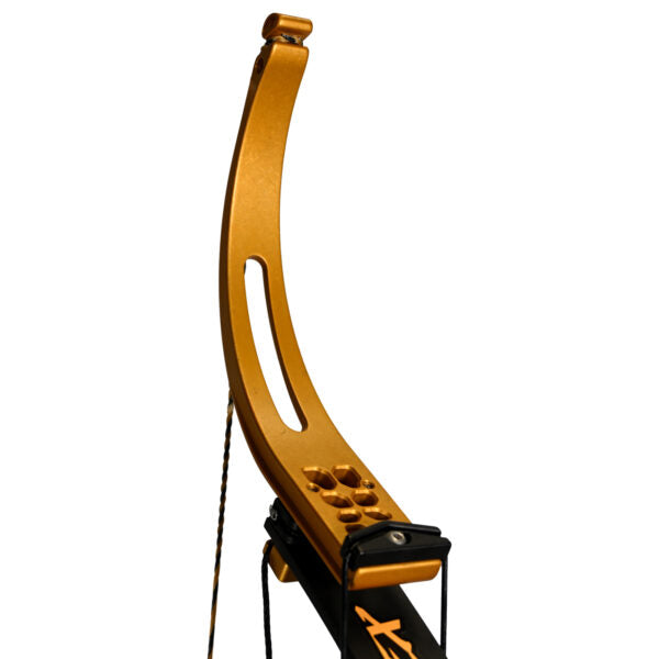 Mega Mouth Mega Rex Bowfishing Bow