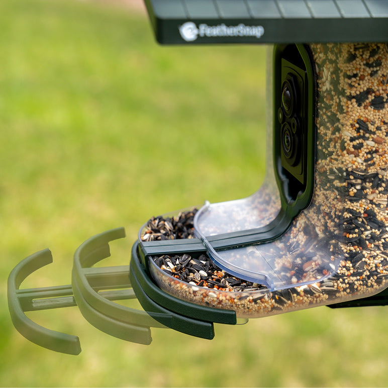 FeatherSnap Smart Solar Powered Bird Feeder with AI Species Recognition