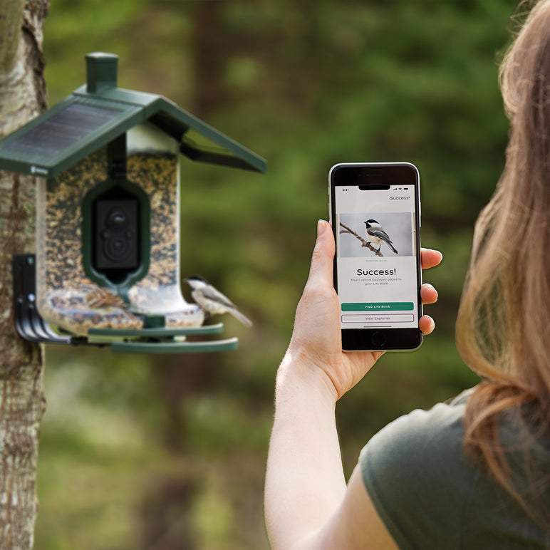 FeatherSnap Smart Solar Powered Bird Feeder with AI Species Recognition