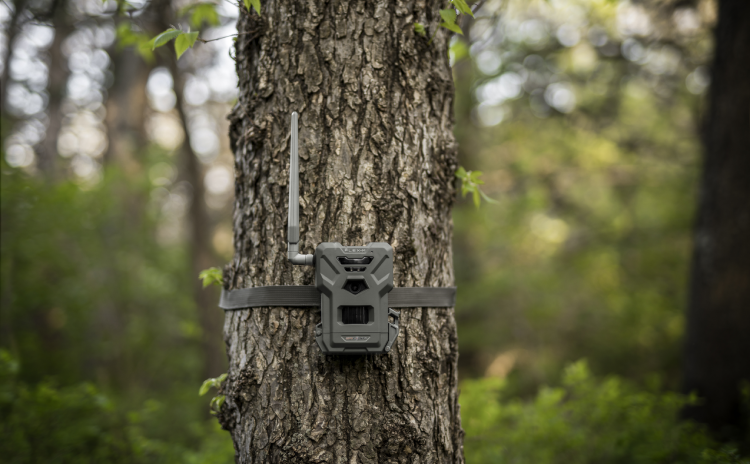 Spypoint Flex M Cell Trail Camera