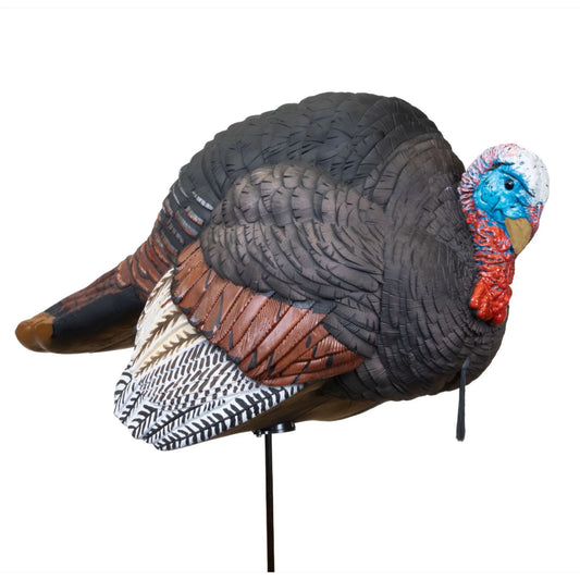 Higdon Outdoors Hard Body Breeding Jake Turkey Decoy