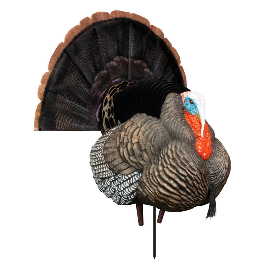 Higdon Outdoors Apex Strutter Hard Body Turkey Decoy